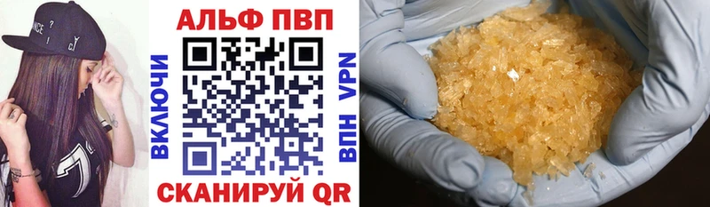 OMG зеркало  Новодвинск  Альфа ПВП СК КРИС 