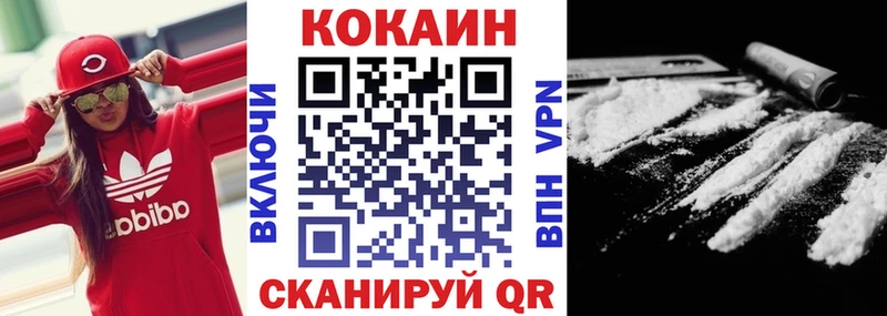Cocaine FishScale  blacksprut ссылки  Новодвинск 