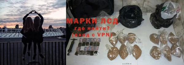 ГАЛЛЮЦИНОГЕННЫЕ ГРИБЫ Арсеньев