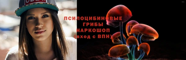 ГАЛЛЮЦИНОГЕННЫЕ ГРИБЫ Армянск
