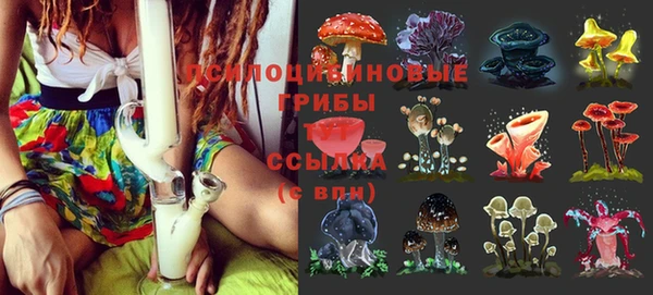 mix Аркадак