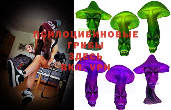 ГАЛЛЮЦИНОГЕННЫЕ ГРИБЫ Армянск