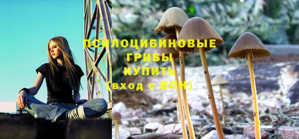 СК Касимов