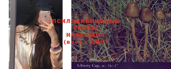 стафф Алексин