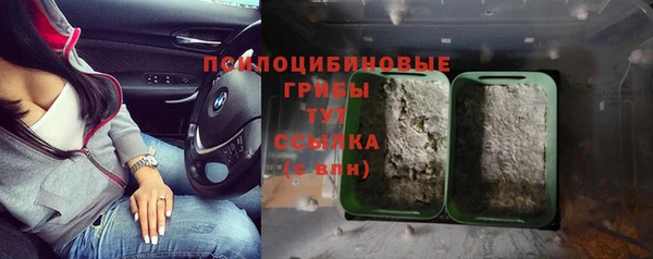 ГАЛЛЮЦИНОГЕННЫЕ ГРИБЫ Арсеньев