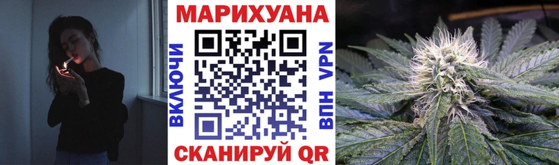 кракен как зайти  Новодвинск  Бошки Шишки сатива 